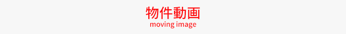 新着動画情報